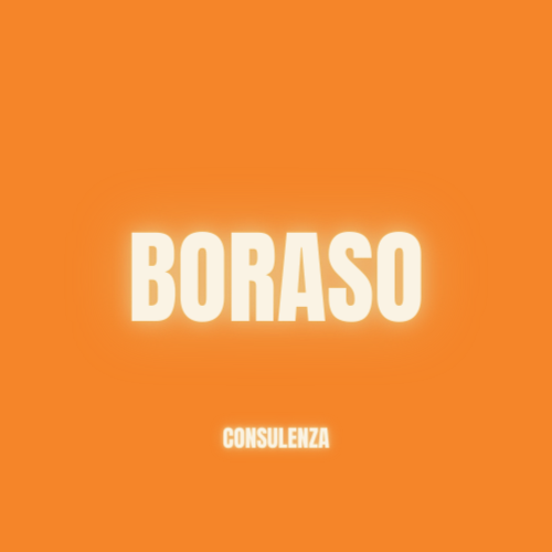 Boraso_com